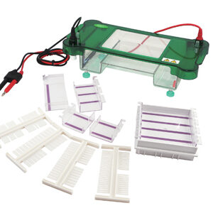 Électrophorèse Horizontale YR03417