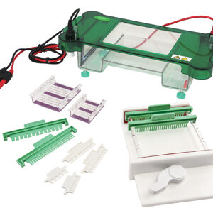 Électrophorèse Horizontale YR03419