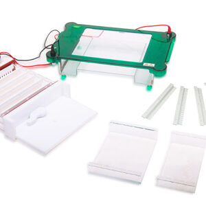 Électrophorèse Horizontale YR03420