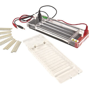 Électrophorèse Horizontale YR03422