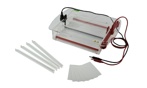 Électrophorèse Horizontale sur Membrane D'acétate de Cellulose YR03423