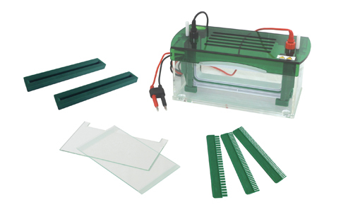 Vertical Electrophoresis Tank YR03428