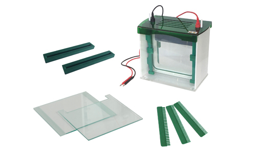 Vertical Gel Electrophoresis Cell YR03429