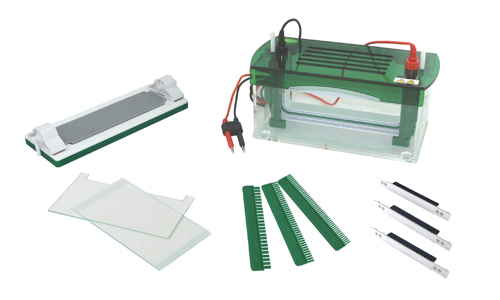 Rapid SSR Vertical Electrophoresis YR03430