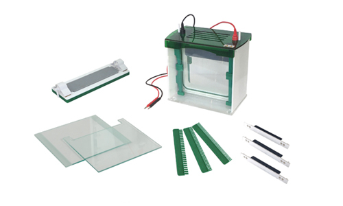 Rapid SSR Vertical Electrophoresis Tank YR03431